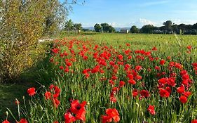 Agriturismo Il Grottino
